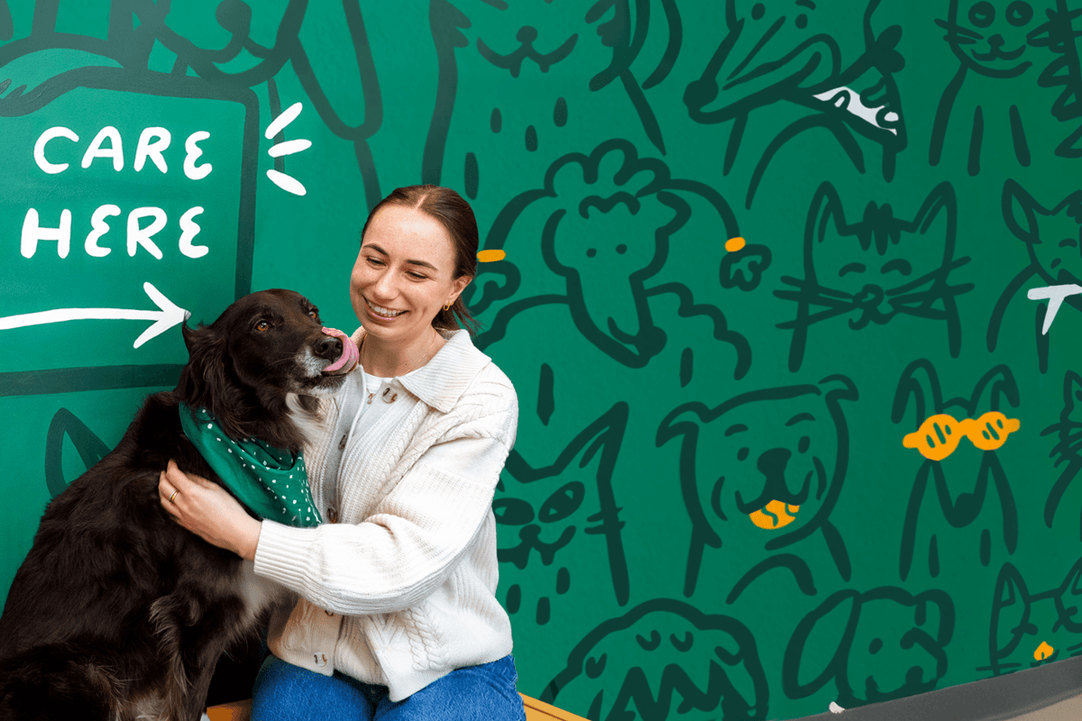 Scout Veterinary Care