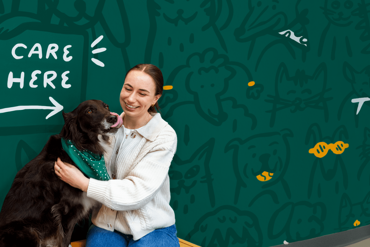 Scout Veterinary Care