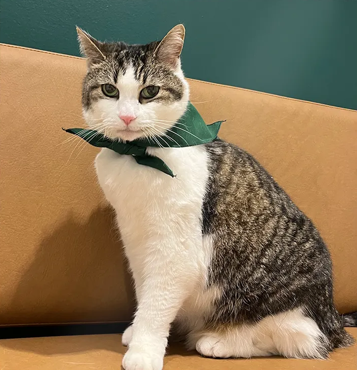 0b834b56da06aa76fdce91d7d18d8d80367bd69c