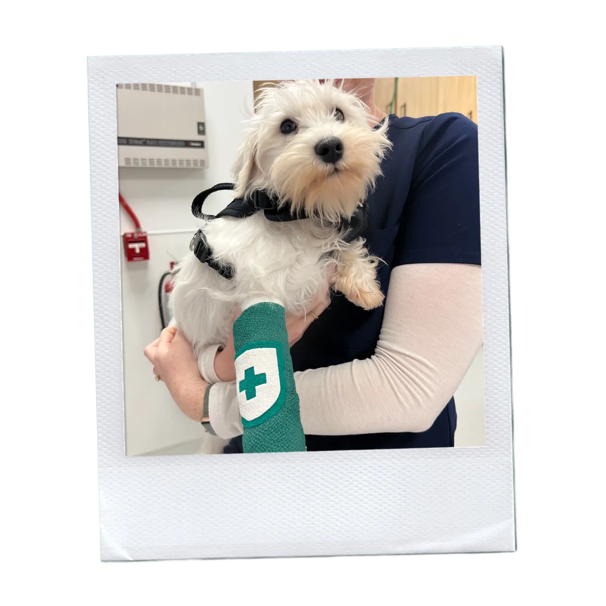 5fb471f338451edbb57a5b72d7fc6f103bd22355 (3)