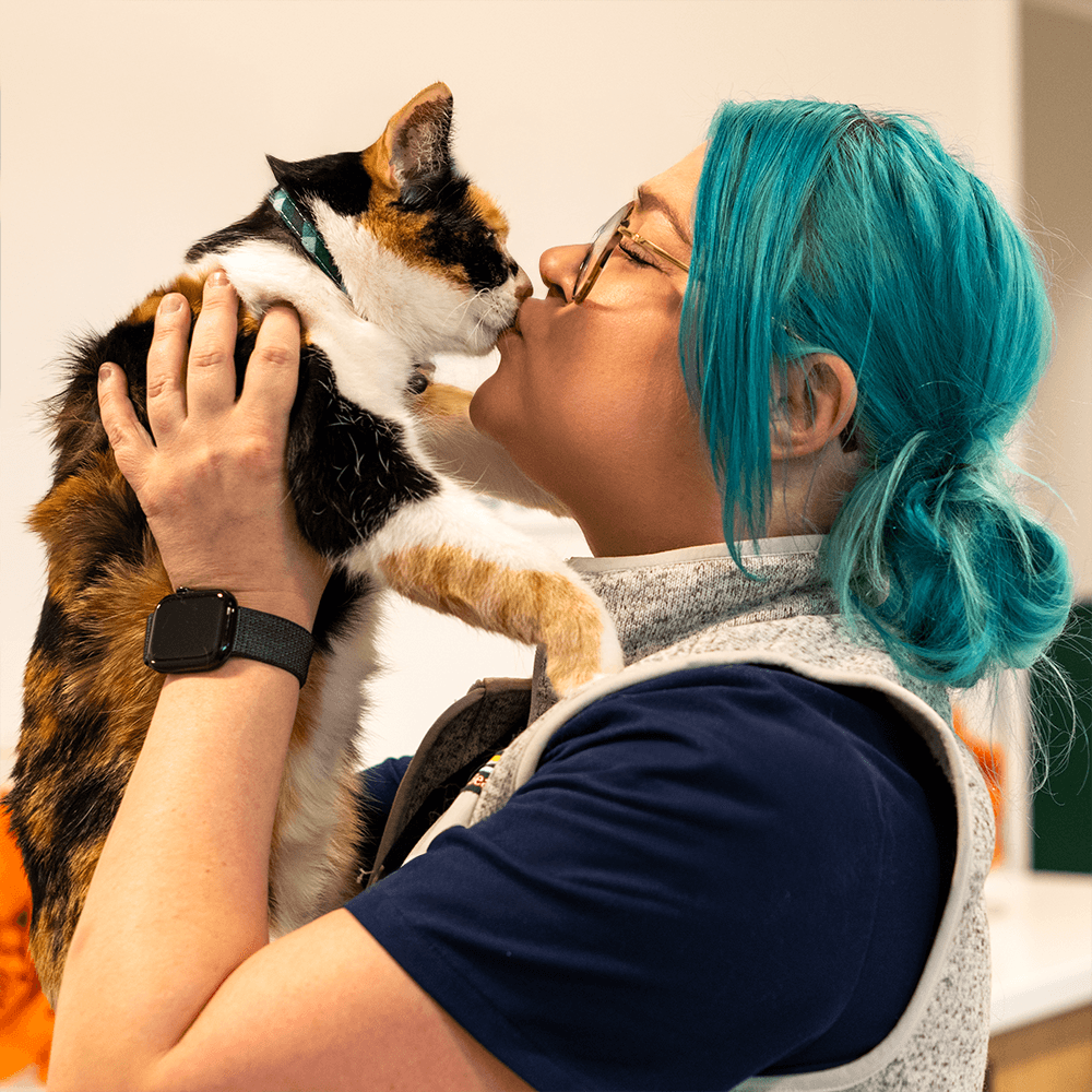 SCOUT_0024 (Cropped) 1000x1000