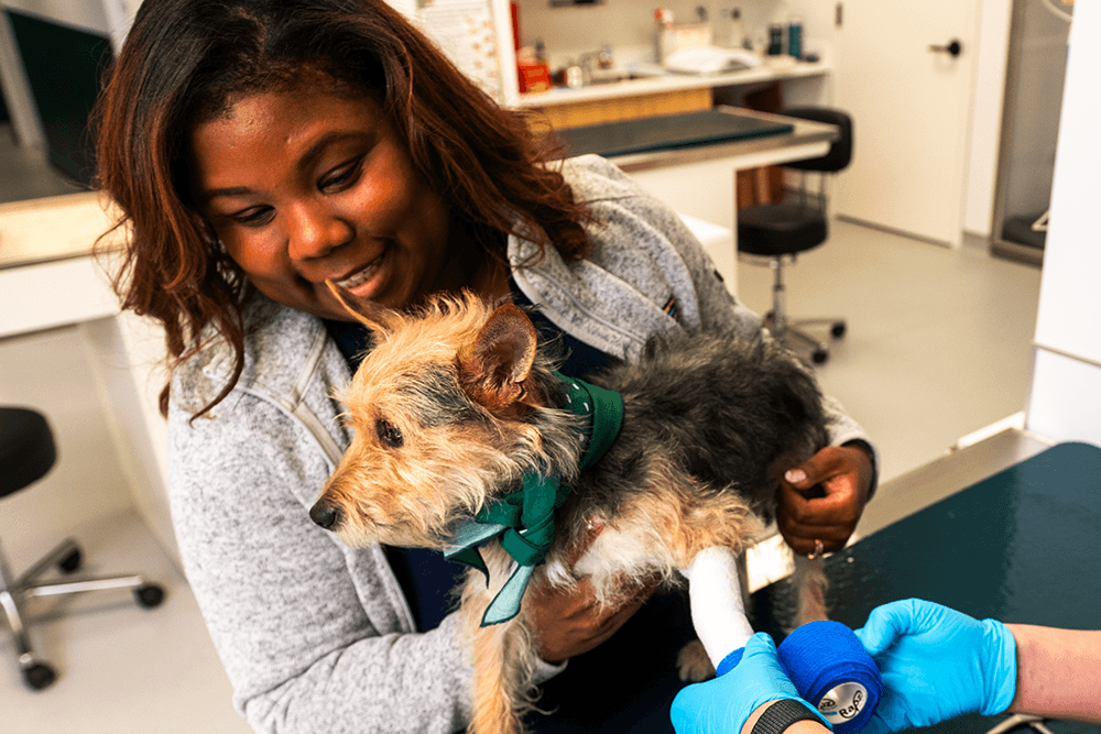 SCOUT_0055 (1) (Cropped) 1000x667