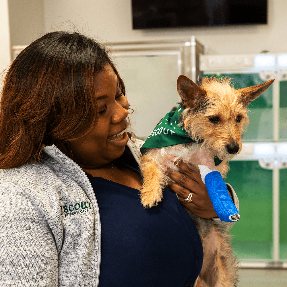 SCOUT_0083 (1) (Cropped) 1000x1000