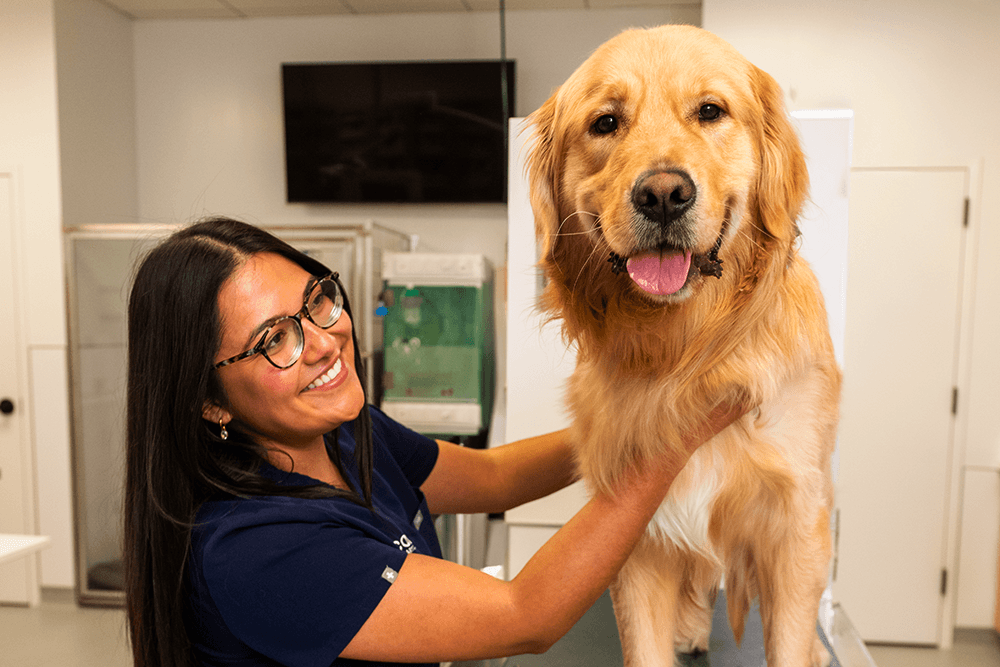 SCOUT_0144 (Cropped) 1000x667