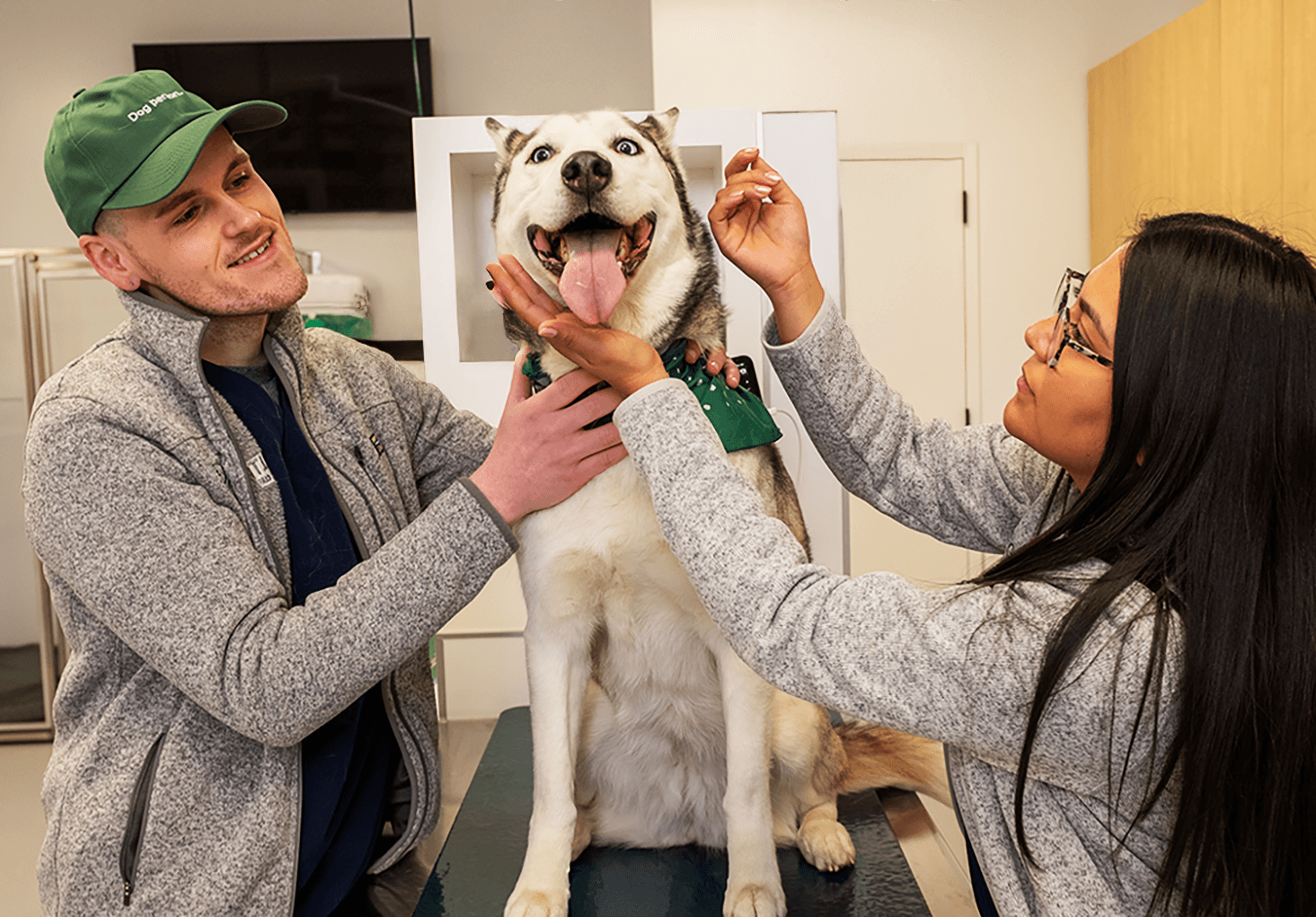 SCOUT_0164 (Cropped) 1465x1021