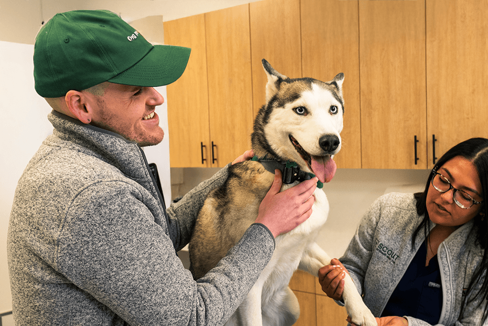 SCOUT_0169 (1) (Cropped) 1000x667