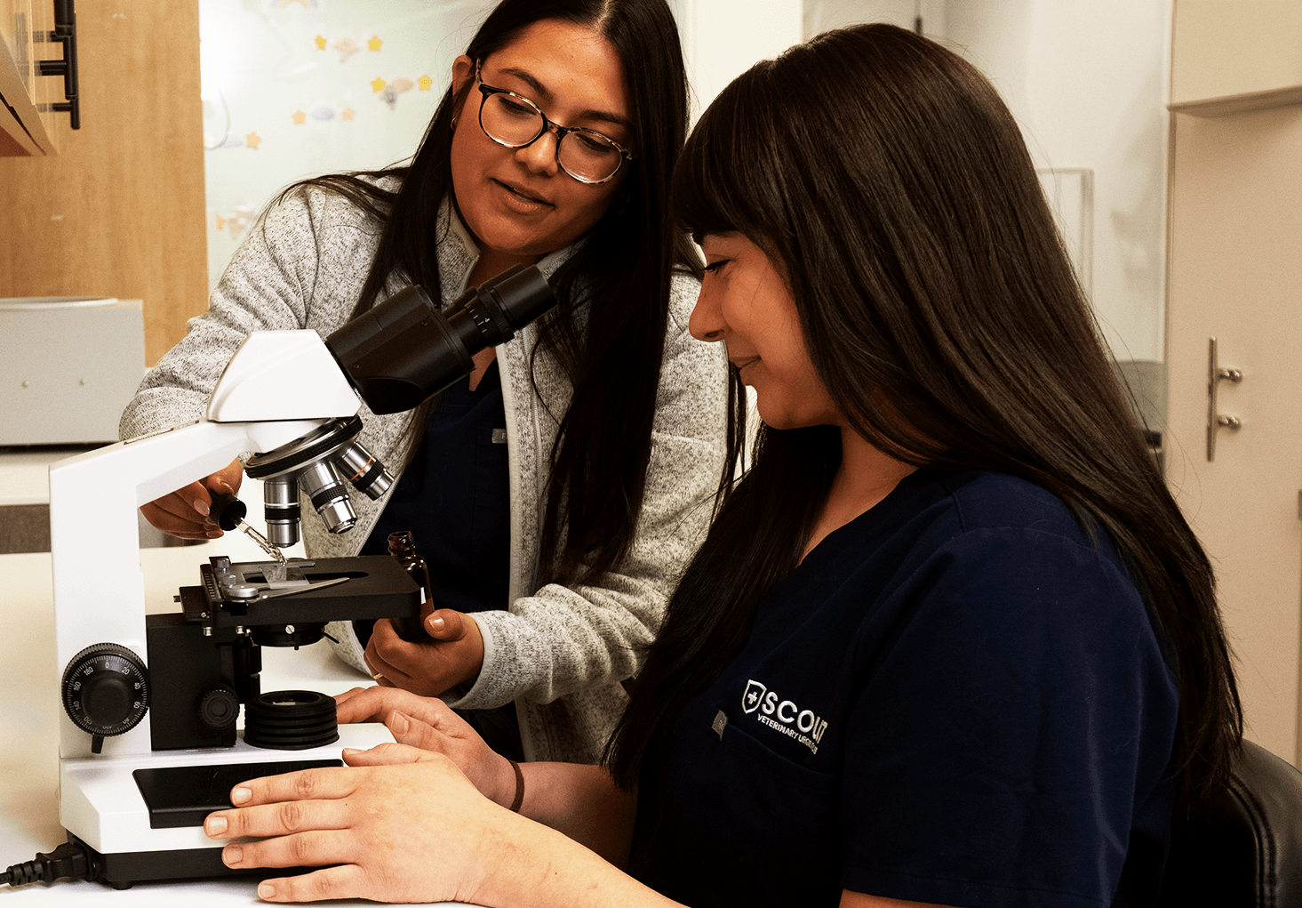 SCOUT_0236 (cropped) 1465x1021 2