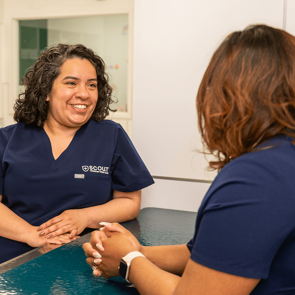 SCOUT_0382 (Cropped) 1000x1000