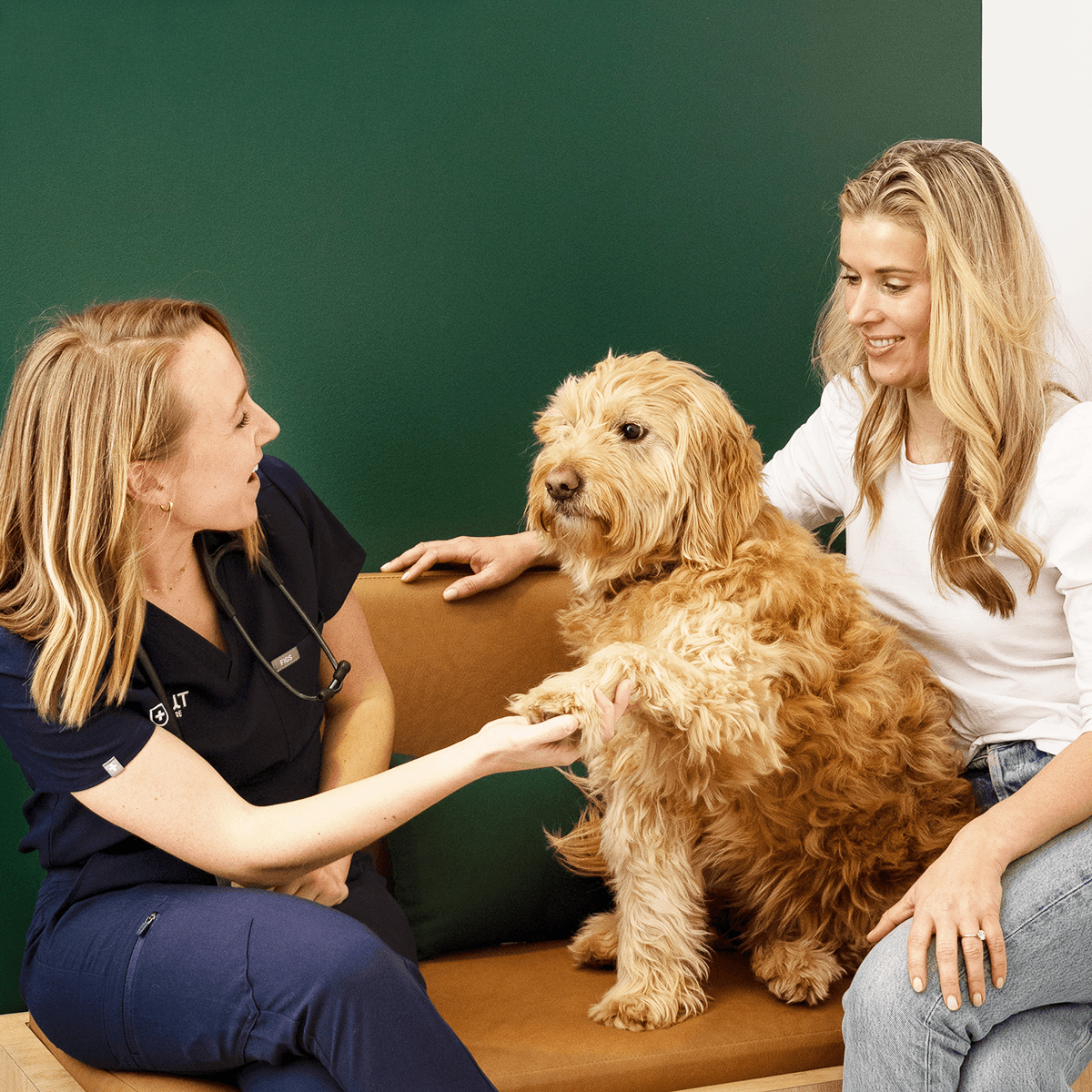 Scout-17 (Cropped) 1200x1200