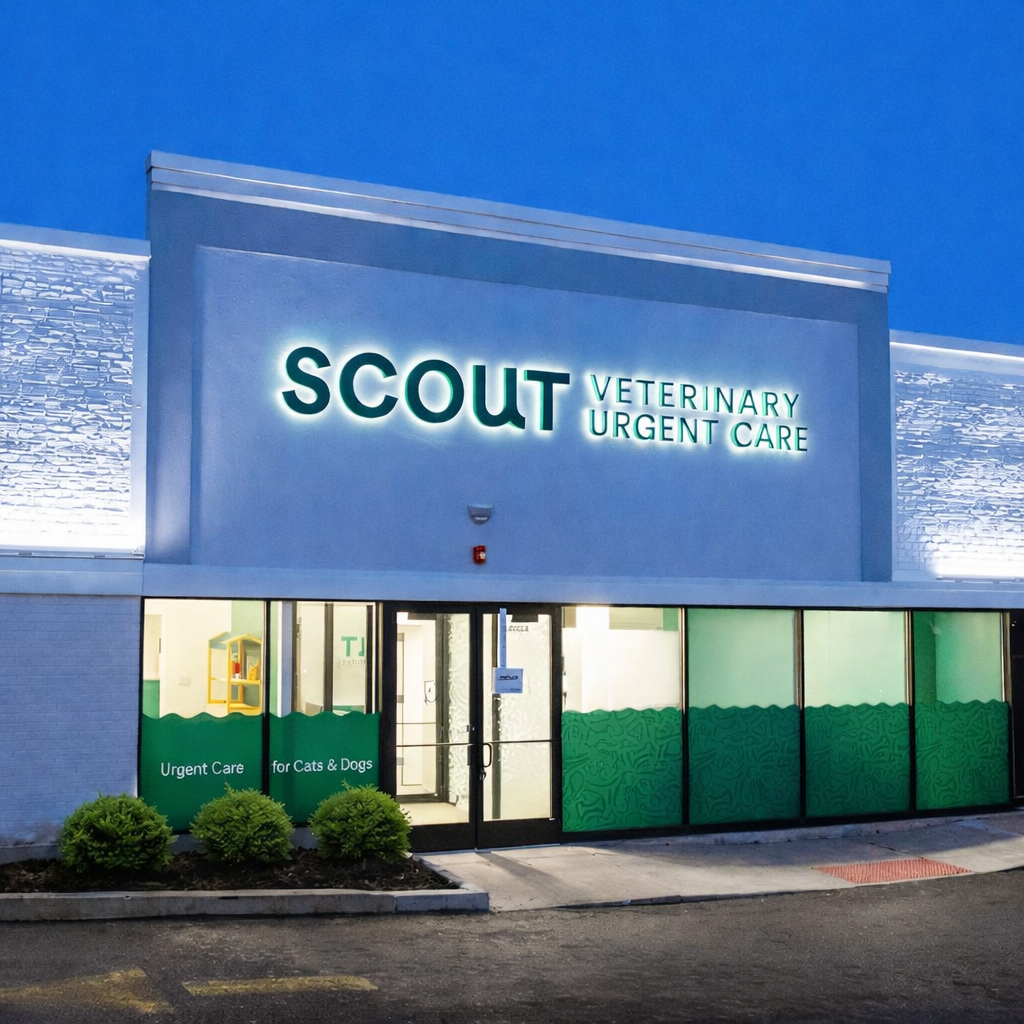 Scout Veterinary Urgent Care at twilight