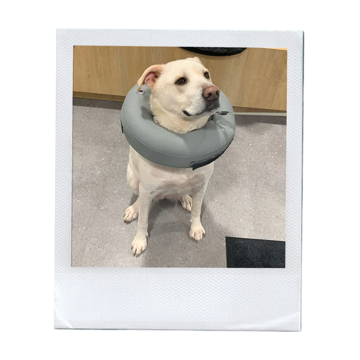 f68a98a6b45f801acf73fc9ab8df80b5be5dbb56 (2)-1